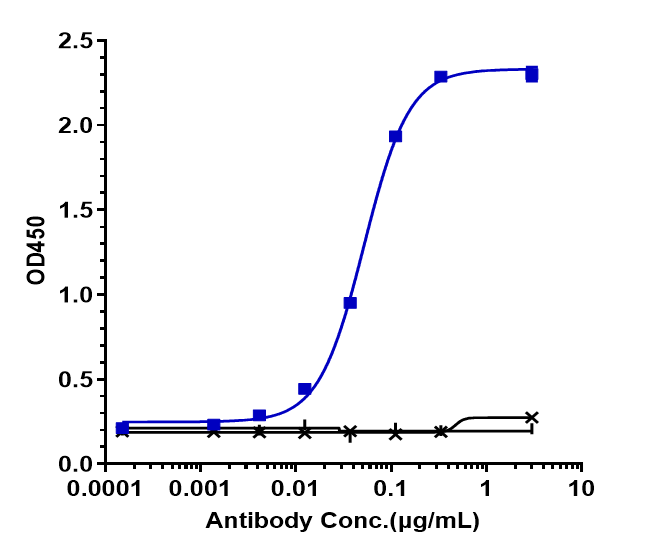 Immobilized human TSLP His at 2 ug/mL can bind TSLP Antibody (tezepelumab), EC50=0.0518 ug/mL.