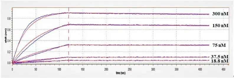 Surface Plasmon Resonance: BTN3A1 Antibody (ICT-01) - Humanized [NBP3-28456] - Anti-BTN3A1 Reference Antibody（ICT-01 captured on CM5 chip via anti-human IgG Fc antibodies surface, can bind Human BTN3A1, hFc Tag with an affinity constant of 6.96E-10M as determined in a SPR assay.