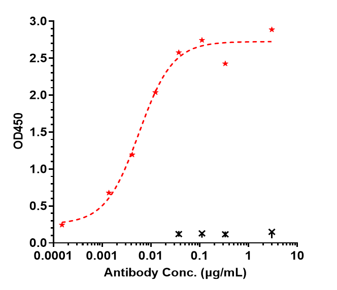 Immobilized human IL-12b His at 2 ug/mL can bind IL12B Antibody (ebdarokimab) - Humanized, EC50=0.005689 ug/mL.