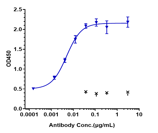 Immobilized human FcRn/FCGRT&B2M Heterodimer protein, His and Avi tag at 2 ug/mL can bind nipocalimab, EC50=0.004948 ug/mL.