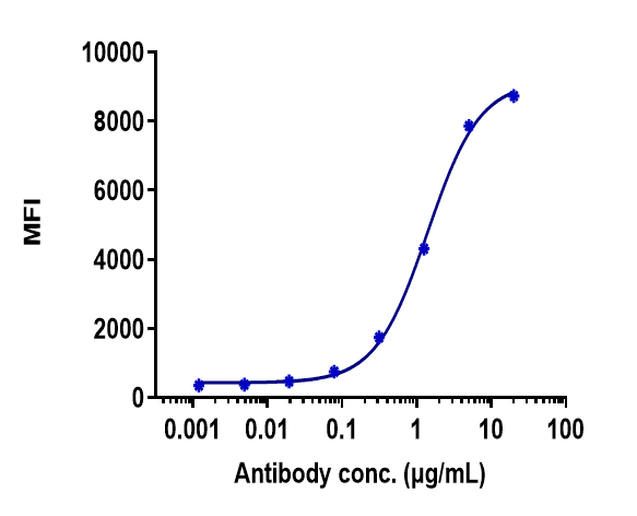 U266 cells were stained with BCMA/TNFRSF17 Antibody (belantamab) and negative control protein respectively, washed and then followed by PE and analyzed with FACS, EC50=1.3980 ug/mL.