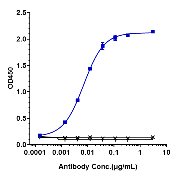 Immobilized human IRTA2 His at 2 ug/mL can bind FCRL5/FcRH5/IRTA2 Antibody (cevostamab), EC50=0.007032 ug/mL.