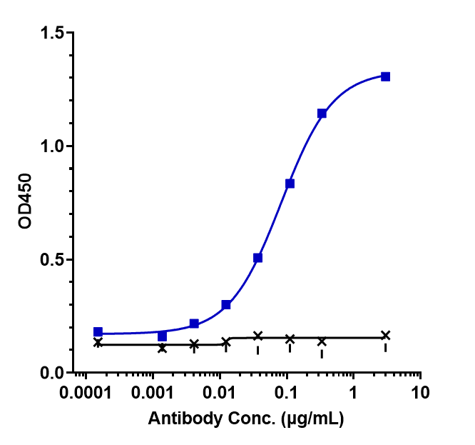 Immobilized huaman CD70 FC at 4 ug/mL can bind CD27 Ligand/TNFSF7/CD70 Antibody (cusatuzumab) - Humanized, EC50=0.08279 ug/mL.