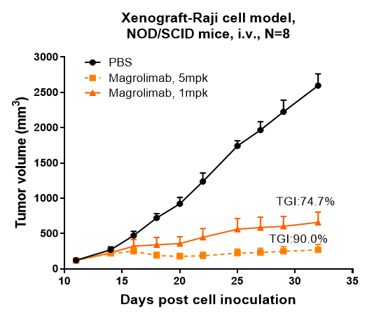 Magrolimab inhibited the tumor growth of Raji  on NOD.SCID mice. The result showed significant anti-tumor effects, with an tumor inhibition rate (TGI) of 90.0% at 5 mpk at D32.