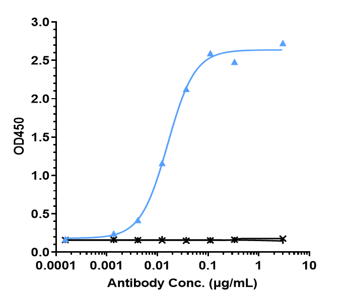 Immobilized human IL-6 His at 2 ug/mL can bind IL-6 Antibody (Medarex patent anti-IL-6), EC50=0.01594 ug/mL.