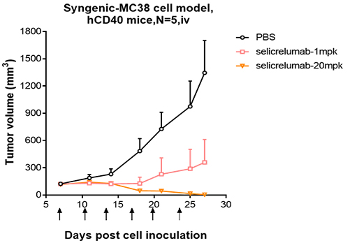 Selicrelumab inhibited the tumor growth of MC38 on Humanized CD40 mice. The result showed significant anti-tumor effects.