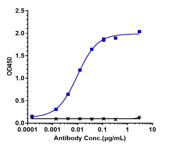 Immobilized human CD40 His at 2 ug/mL can bind CD40/TNFRSF5 Antibody (selicrelumab) - IgG2SA, EC50=0.009782 ug/mL.