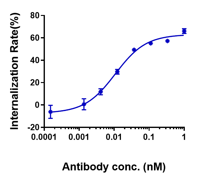 Claudin-6 Antibody (IMAB027) - Humanizedby huCLDN6-HEK293 increased with the increase of antibody concentration, and the Internalization Rate (%) reached 60% at antibody concentration of 1 nM.