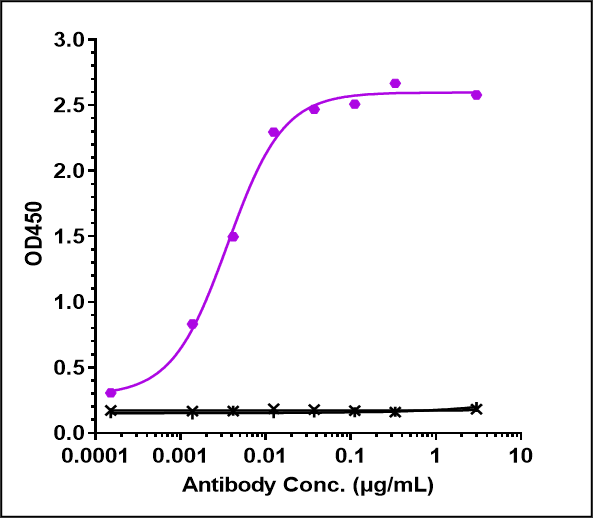 Immobilized A beta 42/A beta 40 at 2 ug/mL can bind beta Amyloid Antibody (lecanemab) - Humanized, EC50=0.003559/0.002915 ug/mL.