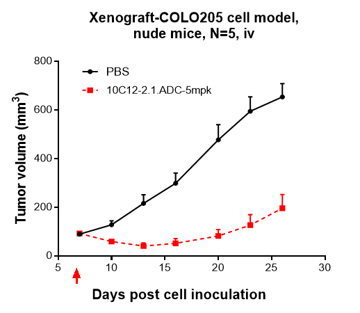 10C12 inhibited the tumor growth of COLO205 on nude mice. The result showed significant anti-tumor effects, with an tumor inhibition rate (TGI) of 70.0% at 5 mpk at D26.