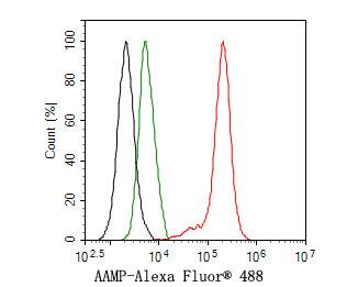 Flow Cytometry: AAMP Antibody (JE64-70) [NBP3-31987] - Flow cytometric analysis of HepG2 cells labeling AAMP. Cells were fixed and permeabilized. Then stained with the primary antibody (NBP3-31987, 1ug/ml) (red) compared with Rabbit IgG Isotype Control (green). After incubation of the primary antibody at +4℃ for an hour, the cells were stained with a Alexa Fluor® 488 conjugate-Goat anti-Rabbit IgG Secondary antibody at 1/1,000 dilution for 30 minutes at +4℃. Unlabelled sample was used as a control (cells without incubation with primary antibody; black).