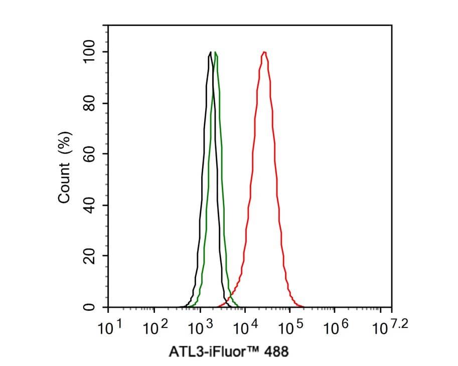 Flow Cytometry: Atlastin-3 Antibody (PSH02-47) [NBP3-32060] - Flow cytometric analysis of HeLa cells labeling Atlastin-3. Cells were fixed and permeabilized. Then stained with the primary antibody (NBP3-32060, 1μg/mL) (red) compared with Rabbit IgG Isotype Control (green). After incubation of the primary antibody at +4℃ for an hour, the cells were stained with a iFluor™ 488 conjugate-Goat anti-Rabbit IgG Secondary antibody at 1/1,000 dilution for 30 minutes at +4℃. Unlabelled sample was used as a control (cells without incubation with primary antibody; black).