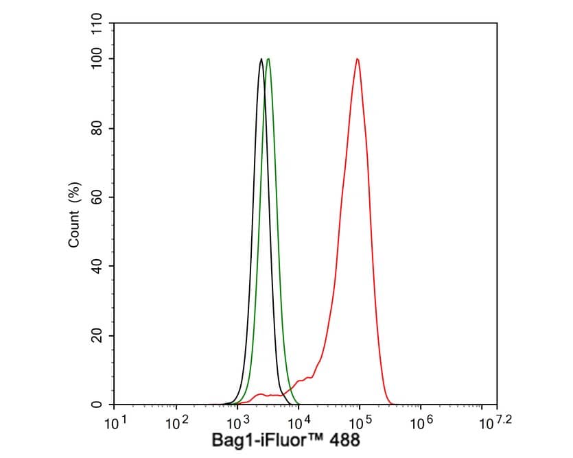 Flow Cytometry: Bag-1 Antibody (JE63-22) [NBP3-32068] - Flow cytometric analysis of HeLa cells labeling Bag-1. Cells were fixed and permeabilized. Then stained with the primary antibody (NBP3-32068, 1μg/mL) (red) compared with Rabbit IgG Isotype Control (green). After incubation of the primary antibody at +4℃ for an hour, the cells were stained with a iFluor™ 488 conjugate-Goat anti-Rabbit IgG Secondary antibody at 1/1,000 dilution for 30 minutes at +4℃. Unlabelled sample was used as a control (cells without incubation with primary antibody; black).