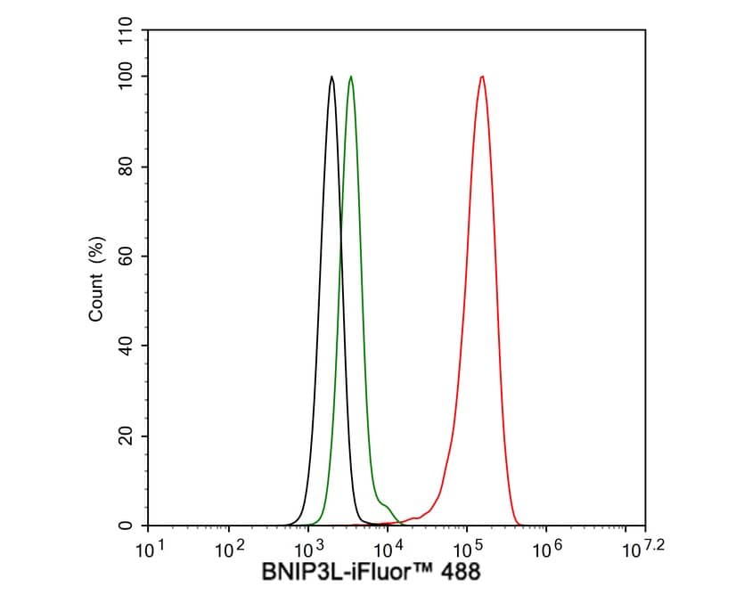 Flow Cytometry: BNIP3L Antibody (JE59-98) [NBP3-32087] - Flow cytometric analysis of HeLa cells labeling BNIP3L. Cells were fixed and permeabilized. Then stained with the primary antibody (NBP3-32087, 1μg/mL) (red) compared with Rabbit IgG Isotype Control (green). After incubation of the primary antibody at +4℃ for an hour, the cells were stained with a iFluor™ 488 conjugate-Goat anti-Rabbit IgG Secondary antibody at 1/1,000 dilution for 30 minutes at +4℃. Unlabelled sample was used as a control (cells without incubation with primary antibody; black).