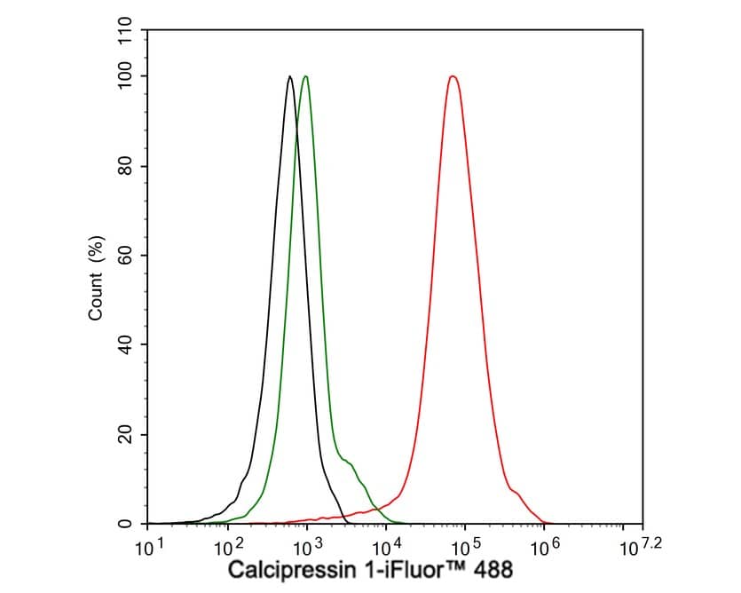 Flow Cytometry: RCAN1 Antibody (JE62-71) [NBP3-32100] - Flow cytometric analysis of Jurkat cells labeling RCAN1. Cells were fixed and permeabilized. Then stained with the primary antibody (NBP3-32100, 1/100) (red) compared with Rabbit IgG Isotype Control (green). After incubation of the primary antibody at +4℃ for an hour, the cells were stained with a iFluor™ 488 conjugate-Goat anti-Rabbit IgG Secondary antibody at 1/1,000 dilution for 30 minutes at +4℃. Unlabelled sample was used as a control (cells without incubation with primary antibody; black).