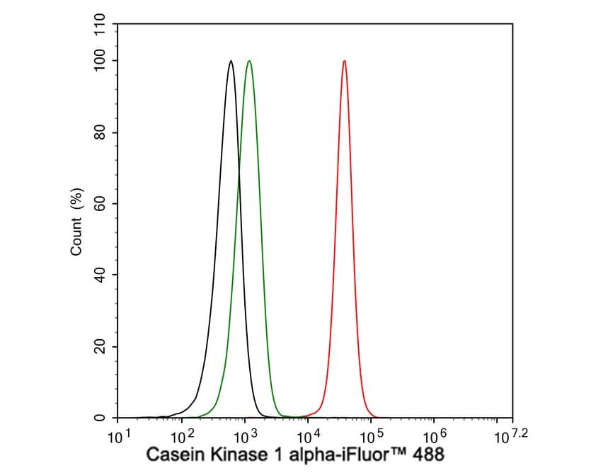 Flow Cytometry: Casein Kinase 1 alpha Antibody (PSH04-46) [NBP3-32107] - Flow cytometric analysis of HCT 116 cells labeling Casein Kinase 1 alpha. Cells were fixed and permeabilized. Then stained with the primary antibody (NBP3-32107, 1μg/mL) (red) compared with Rabbit IgG Isotype Control (green). After incubation of the primary antibody at +4℃ for an hour, the cells were stained with a iFluor™ 488 conjugate-Goat anti-Rabbit IgG Secondary antibody at 1/1,000 dilution for 30 minutes at +4℃. Unlabelled sample was used as a control (cells without incubation with primary antibody; black).