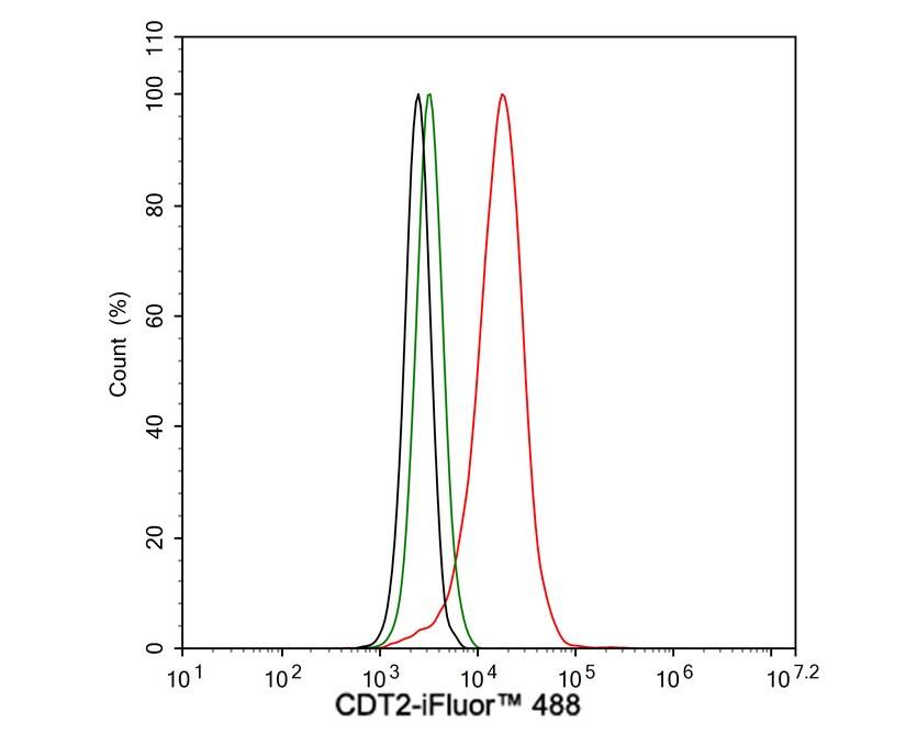 Flow Cytometry: CDT2 Antibody (JE58-01) [NBP3-32176] - Flow cytometric analysis of HeLa cells labeling CDT2. Cells were fixed and permeabilized. Then stained with the primary antibody (NBP3-32176, 1μg/mL) (red) compared with Rabbit IgG Isotype Control (green). After incubation of the primary antibody at +4℃ for an hour, the cells were stained with a iFluor™ 488 conjugate-Goat anti-Rabbit IgG Secondary antibody at 1/1,000 dilution for 30 minutes at +4℃. Unlabelled sample was used as a control (cells without incubation with primary antibody; black).