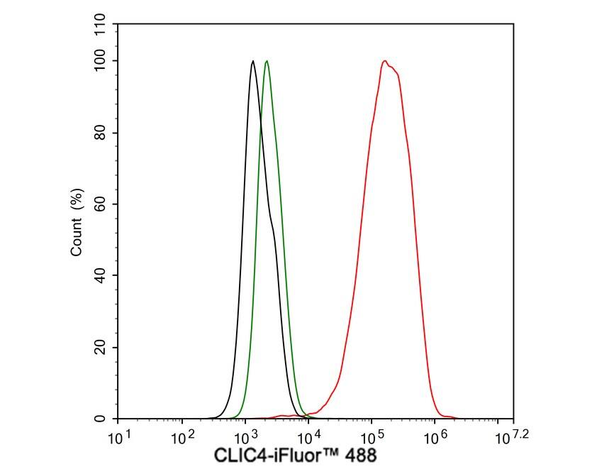 Flow Cytometry: CLIC4 Antibody (JE65-09) [NBP3-32192] - Flow cytometric analysis of HeLa cells labeling CLIC4. Cells were fixed and permeabilized. Then stained with the primary antibody (NBP3-32192, 1/100) (red) compared with Rabbit IgG Isotype Control (green). After incubation of the primary antibody at +4℃ for an hour, the cells were stained with a iFluor™ 488 conjugate-Goat anti-Rabbit IgG Secondary antibody at 1/1,000 dilution for 30 minutes at +4℃. Unlabelled sample was used as a control (cells without incubation with primary antibody; black).