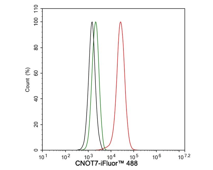 Flow Cytometry: CNOT7 Antibody (PSH02-81) [NBP3-32202] - Flow cytometric analysis of F9 cells labeling CNOT7. Cells were fixed and permeabilized. Then stained with the primary antibody (NBP3-32202, 1μg/mL) (red) compared with Rabbit IgG Isotype Control (green). After incubation of the primary antibody at +4℃ for an hour, the cells were stained with a iFluor™ 488 conjugate-Goat anti-Rabbit IgG Secondary antibody at 1/1,000 dilution for 30 minutes at +4℃. Unlabelled sample was used as a control (cells without incubation with primary antibody; black).