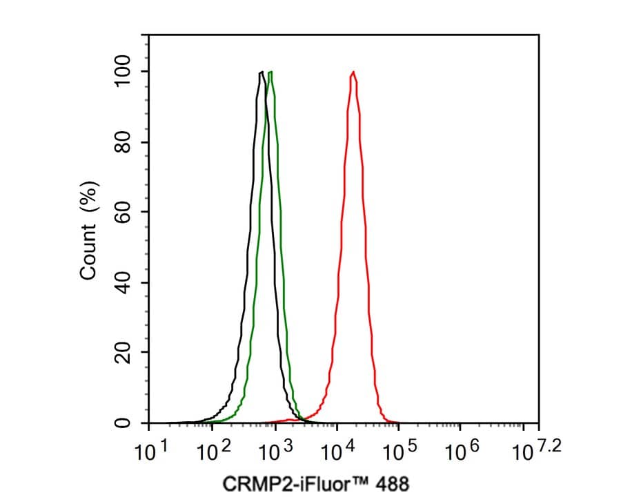 Flow Cytometry: CRMP2 Antibody (JE31-53) [NBP3-32224] - Flow cytometric analysis of SH-SY5Y cells labeling CRMP2. Cells were fixed and permeabilized. Then stained with the primary antibody (NBP3-32224, 1ug/ml) (red) compared with Rabbit IgG Isotype Control (green). After incubation of the primary antibody at +4℃ for an hour, the cells were stained with a iFluor™ 488 conjugate-Goat anti-Rabbit IgG Secondary antibody at 1/1,000 dilution for 30 minutes at +4℃. Unlabelled sample was used as a control (cells without incubation with primary antibody; black).