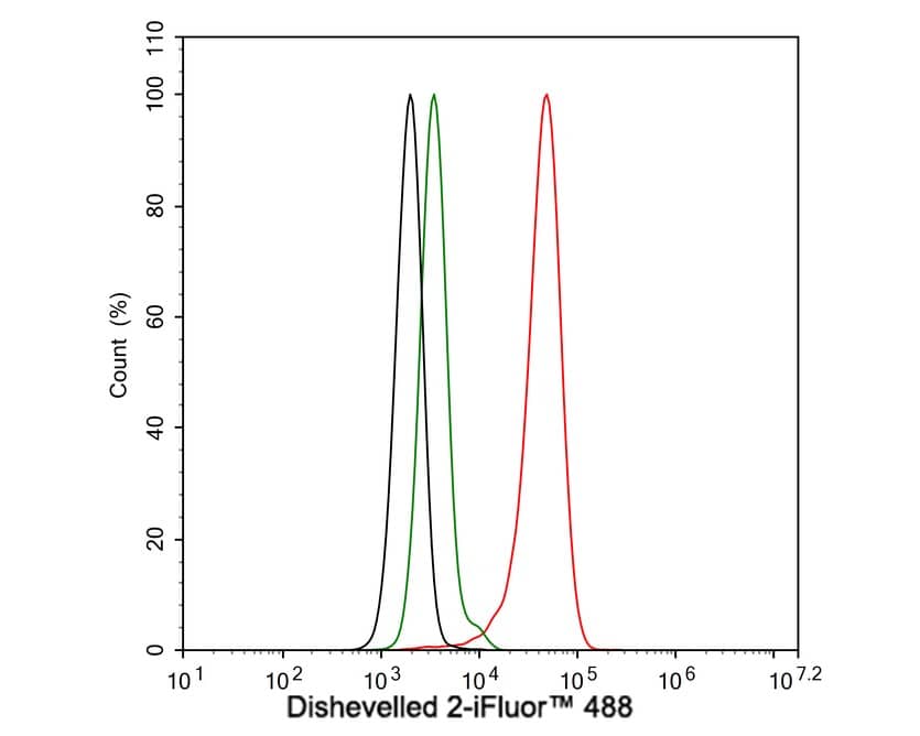 Flow Cytometry: Dishevelled-2 Antibody (PSH04-07) [NBP3-32269] - Flow cytometric analysis of HeLa cells labeling Dishevelled-2. Cells were fixed and permeabilized. Then stained with the primary antibody (NBP3-32269, 1μg/mL) (red) compared with Rabbit IgG Isotype Control (green). After incubation of the primary antibody at +4℃ for an hour, the cells were stained with a iFluor™ 488 conjugate-Goat anti-Rabbit IgG Secondary antibody at 1/1,000 dilution for 30 minutes at +4℃. Unlabelled sample was used as a control (cells without incubation with primary antibody; black).