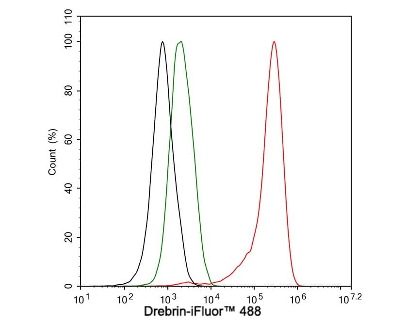 Flow Cytometry: Drebrin 1 Antibody (JE30-20) [NBP3-32279] - Flow cytometric analysis of SH-SY5Y cells labeling Drebrin 1. Cells were fixed and permeabilized. Then stained with the primary antibody (NBP3-32279, 1μg/mL) (red) compared with Rabbit IgG Isotype Control (green). After incubation of the primary antibody at +4℃ for an hour, the cells were stained with a iFluor™ 488 conjugate-Goat anti-Rabbit IgG Secondary antibody at 1/1,000 dilution for 30 minutes at +4℃. Unlabelled sample was used as a control (cells without incubation with primary antibody; black).