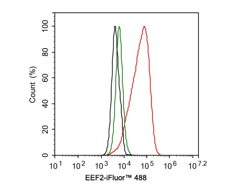 Flow Cytometry: eEF-2 Antibody (JE32-57) [NBP3-32293] - Flow cytometric analysis of HeLa cells labeling eEF-2. Cells were fixed and permeabilized. Then stained with the primary antibody (NBP3-32293, 1ug/ml) (red) compared with Rabbit IgG Isotype Control (green). After incubation of the primary antibody at +4℃ for an hour, the cells were stained with a iFluor™ 488 conjugate-Goat anti-Rabbit IgG Secondary antibody at 1/1,000 dilution for 30 minutes at +4℃. Unlabelled sample was used as a control (cells without incubation with primary antibody; black).