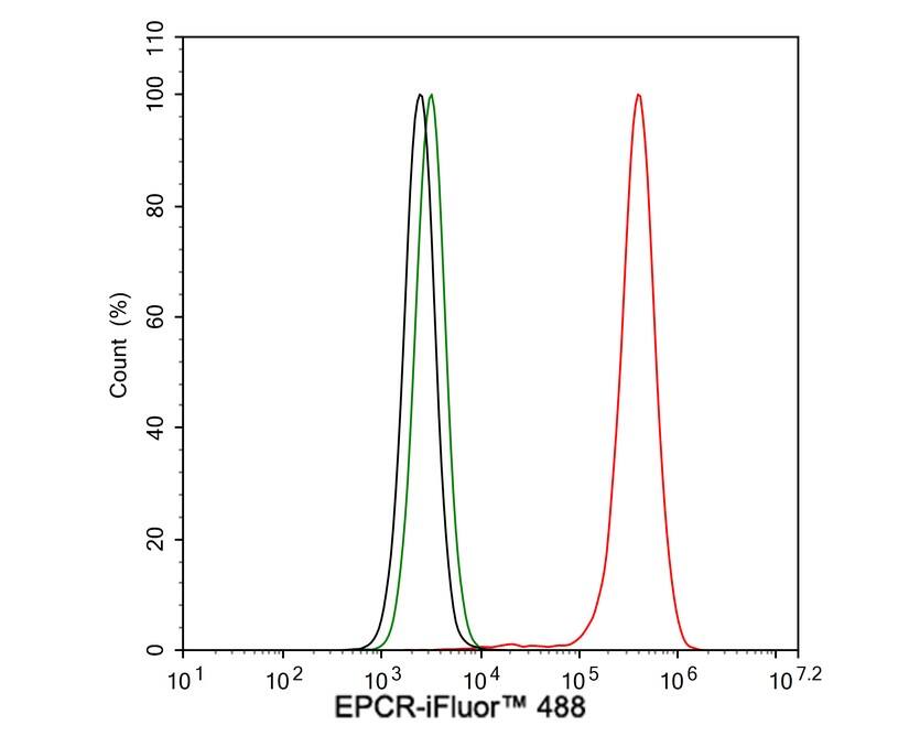 Flow Cytometry: EPCR Antibody (PSH03-50) [NBP3-32311] - Flow cytometric analysis of EA.hy926 cells labeling EPCR. Cells were washed twice with cold PBS and resuspend. Then stained with the primary antibody (NBP3-32311, 1μg/mL) (red) compared with Rabbit IgG Isotype Control (green). After incubation of the primary antibody at +4℃ for an hour, the cells were stained with a iFluor™ 488 conjugate-Goat anti-Rabbit IgG Secondary antibody at 1/1,000 dilution for 30 minutes at +4℃. Unlabelled sample was used as a control (cells without incubation with primary antibody; black).