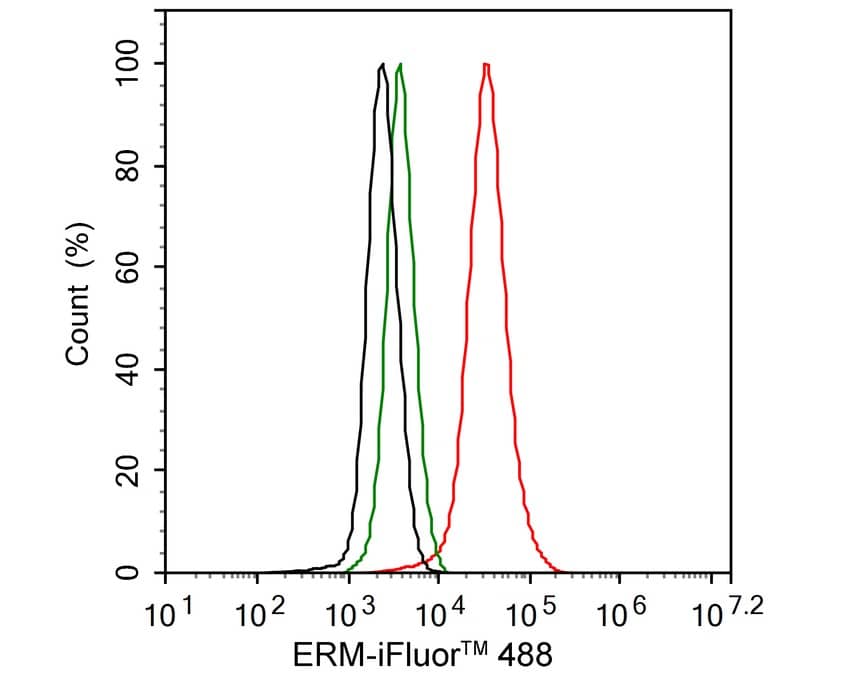 Flow Cytometry: ETV5/ERM Antibody (PSH02-64) [NBP3-32318] - Flow cytometric analysis of SK-MEL-28 cells labeling ETV5/ERM. Cells were fixed and permeabilized. Then stained with the primary antibody (NBP3-32318, 1/1,000) (red) compared with Rabbit IgG Isotype Control (green). After incubation of the primary antibody at +4℃ for an hour, the cells were stained with a iFluor™ 488 conjugate-Goat anti-Rabbit IgG Secondary antibody at 1/1,000 dilution for 30 minutes at +4℃. Unlabelled sample was used as a control (cells without incubation with primary antibody; black).