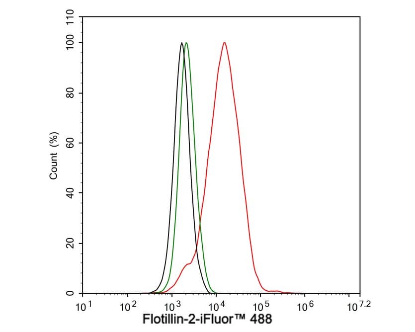 Flow Cytometry: Flotillin 2 Antibody (PSH03-41) [NBP3-32343] - Flow cytometric analysis of HeLa cells labeling Flotillin 2. Cells were fixed and permeabilized. Then stained with the primary antibody (NBP3-32343, 1μg/mL) (red) compared with Rabbit IgG Isotype Control (green). After incubation of the primary antibody at +4℃ for an hour, the cells were stained with a iFluor™ 488 conjugate-Goat anti-Rabbit IgG Secondary antibody at 1/1,000 dilution for 30 minutes at +4℃. Unlabelled sample was used as a control (cells without incubation with primary antibody; black).