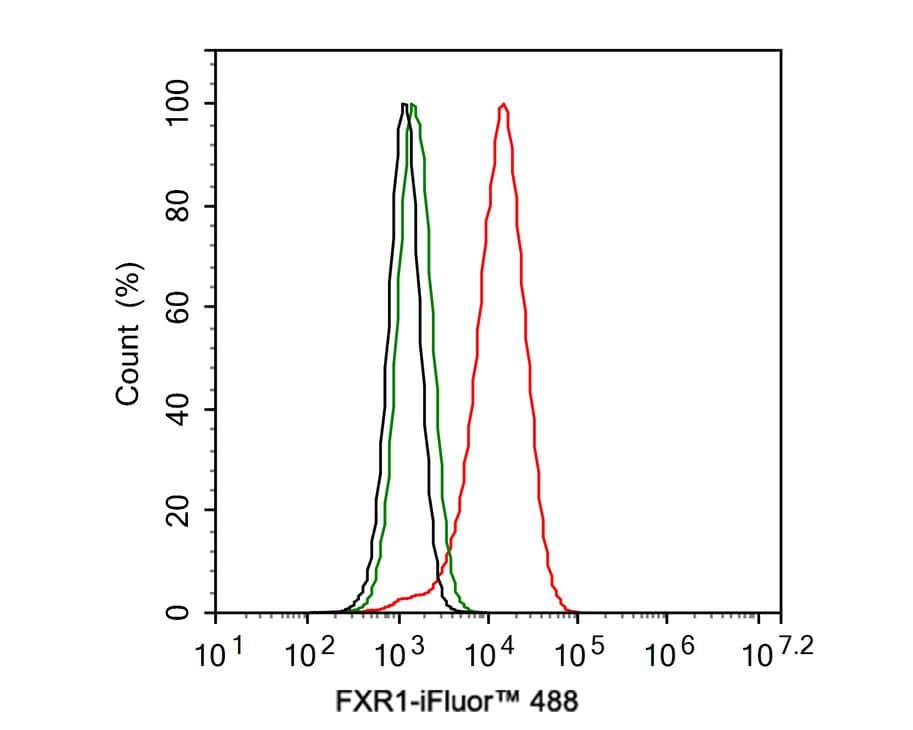 Flow Cytometry: FXR1 Antibody (JE40-57) [NBP3-32354] - Flow cytometric analysis of HeLa cells labeling FXR1. Cells were fixed and permeabilized. Then stained with the primary antibody (NBP3-32354, 1ug/ml) (red) compared with Rabbit IgG Isotype Control (green). After incubation of the primary antibody at +4℃ for an hour, the cells were stained with a iFluor™ 488 conjugate-Goat anti-Rabbit IgG Secondary antibody at 1/1,000 dilution for 30 minutes at +4℃. Unlabelled sample was used as a control (cells without incubation with primary antibody; black).