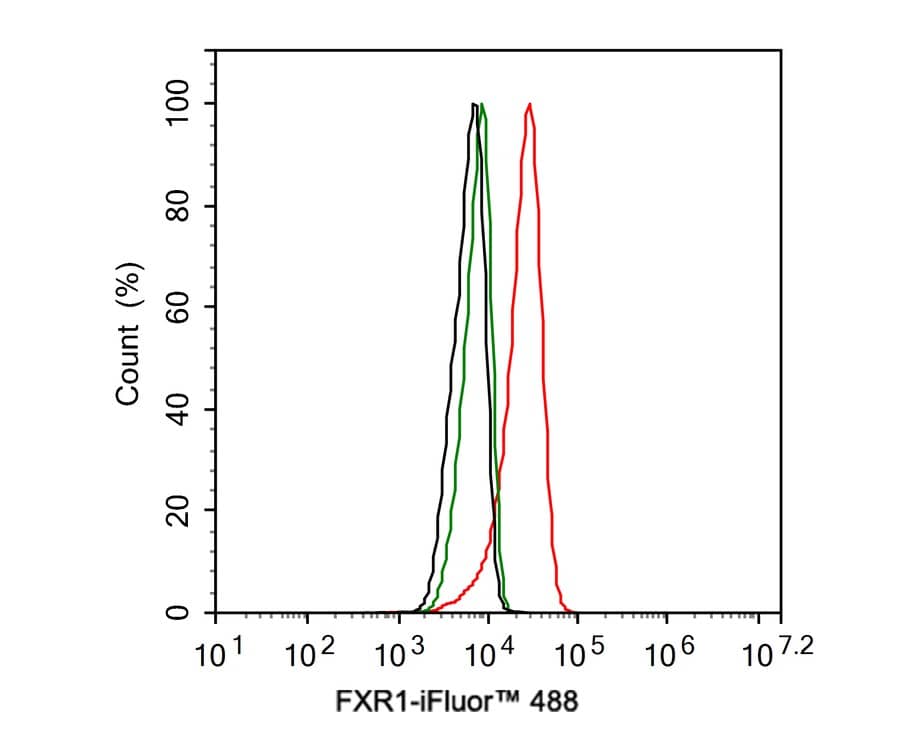 Flow Cytometry: FXR1 Antibody (PSH01-67) [NBP3-32356] - Flow cytometric analysis of NIH/3T3 cells labeling FXR1. Cells were fixed and permeabilized. Then stained with the primary antibody (NBP3-32356, 1/100) (red) compared with Rabbit IgG Isotype Control (green). After incubation of the primary antibody at +4℃ for an hour, the cells were stained with a iFluor™ 488 conjugate-Goat anti-Rabbit IgG Secondary antibody at 1/1,000 dilution for 30 minutes at +4℃. Unlabelled sample was used as a control (cells without incubation with primary antibody; black).