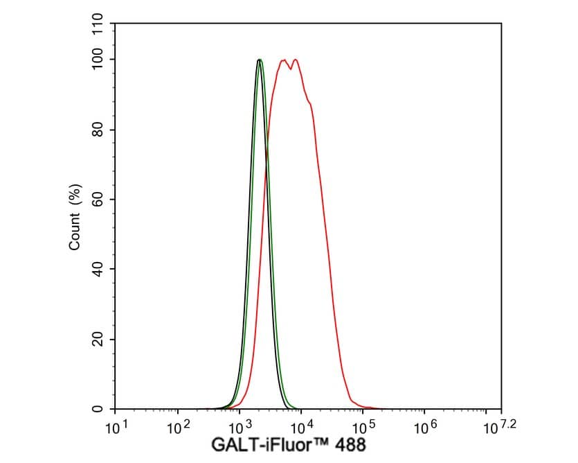 Flow Cytometry: GALT Antibody (PSH02-87) [NBP3-32363] - Flow cytometric analysis of HeLa cells labeling GALT. Cells were fixed and permeabilized. Then stained with the primary antibody (NBP3-32363, 1μg/mL) (red) compared with Rabbit IgG Isotype Control (green). After incubation of the primary antibody at +4℃ for an hour, the cells were stained with a iFluor™ 488 conjugate-Goat anti-Rabbit IgG Secondary antibody at 1/1,000 dilution for 30 minutes at +4℃. Unlabelled sample was used as a control (cells without incubation with primary antibody; black).