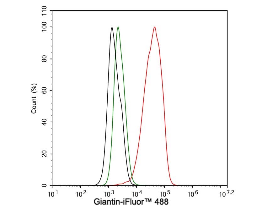 Flow Cytometry: GOLGB1/Giantin Antibody (PSH03-86) [NBP3-32381] - Flow cytometric analysis of HeLa cells labeling GOLGB1/Giantin. Cells were fixed and permeabilized. Then stained with the primary antibody (NBP3-32381, 1μg/mL) (red) compared with Rabbit IgG Isotype Control (green). After incubation of the primary antibody at +4℃ for an hour, the cells were stained with a iFluor™ 488 conjugate-Goat anti-Rabbit IgG Secondary antibody at 1/1,000 dilution for 30 minutes at +4℃. Unlabelled sample was used as a control (cells without incubation with primary antibody; black).