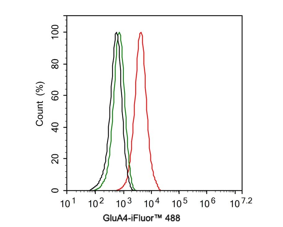 Flow Cytometry: Glutamate Receptor 4 Antibody (JE36-81) [NBP3-32384] - Flow cytometric analysis of SH-SY5Y cells labeling Glutamate Receptor 4. Cells were fixed and permeabilized. Then stained with the primary antibody (NBP3-32384, 1ug/ml) (red) compared with Rabbit IgG Isotype Control (green). After incubation of the primary antibody at +4℃ for an hour, the cells were stained with a iFluor™ 488 conjugate-Goat anti-Rabbit IgG Secondary antibody at 1/1,000 dilution for 30 minutes at +4℃. Unlabelled sample was used as a control (cells without incubation with primary antibody; black).