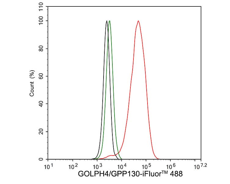Flow Cytometry: GOLPH4 Antibody (PSH02-98) [NBP3-32399] - Flow cytometric analysis of HeLa cells labeling GOLPH4. Cells were fixed and permeabilized. Then stained with the primary antibody (NBP3-32399, 1μg/mL) (red) compared with Rabbit IgG Isotype Control (green). After incubation of the primary antibody at +4℃ for an hour, the cells were stained with a iFluor™ 488 conjugate-Goat anti-Rabbit IgG Secondary antibody at 1/1,000 dilution for 30 minutes at +4℃. Unlabelled sample was used as a control (cells without incubation with primary antibody; black).