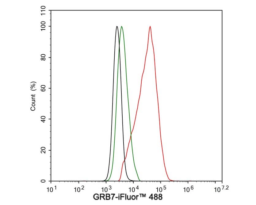 Flow Cytometry: GRB7 Antibody (JE50-05) [NBP3-32404] - Flow cytometric analysis of SK-Br-3 cells labeling GRB7. Cells were fixed and permeabilized. Then stained with the primary antibody (NBP3-32404, 1μg/mL) (red) compared with Rabbit IgG Isotype Control (green). After incubation of the primary antibody at +4℃ for an hour, the cells were stained with a iFluor™ 488 conjugate-Goat anti-Rabbit IgG Secondary antibody at 1/1,000 dilution for 30 minutes at +4℃. Unlabelled sample was used as a control (cells without incubation with primary antibody; black).