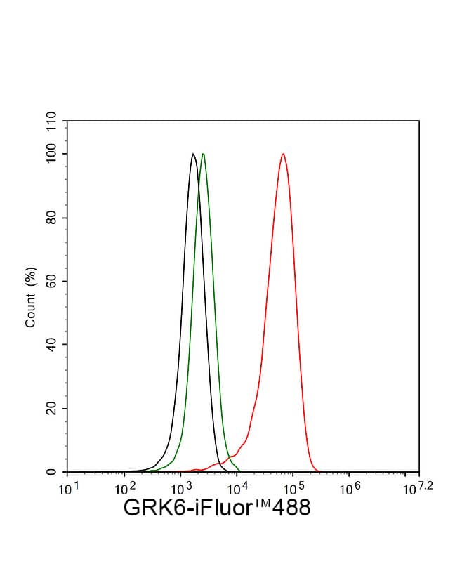 Flow Cytometry: GRK6 Antibody (JE63-06) [NBP3-32406] - Flow cytometric analysis of 293T cells labeling GRK6. Cells were fixed and permeabilized. Then stained with the primary antibody (NBP3-32406, 1/1,000) (red) compared with Rabbit IgG Isotype Control (green). After incubation of the primary antibody at +4℃ for an hour, the cells were stained with a iFluor™ 488 conjugate-Goat anti-Mouse IgG Secondary antibody at 1/1,000 dilution for 30 minutes at +4℃. Unlabelled sample was used as a control (cells without incubation with primary antibody; black).