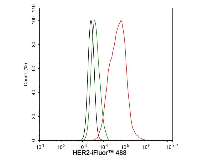 Flow Cytometry: ErbB2/Her2 Antibody (PD00-53) [NBP3-32422] - Flow cytometric analysis of SK-Br-3 cells labeling ErbB2/Her2. Cells were fixed and permeabilized. Then stained with the primary antibody (NBP3-32422, 1μg/mL) (red) compared with Rabbit IgG Isotype Control (green). After incubation of the primary antibody at +4℃ for an hour, the cells were stained with a iFluor™ 488 conjugate-Goat anti-Rabbit IgG Secondary antibody at 1/1,000 dilution for 30 minutes at +4℃. Unlabelled sample was used as a control (cells without incubation with primary antibody; black).