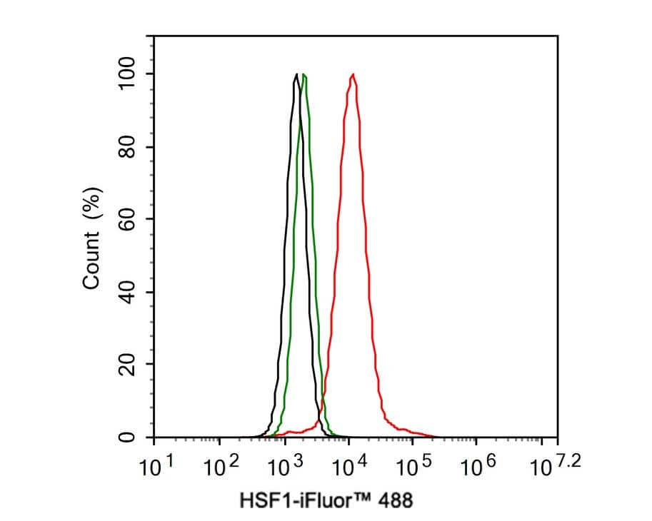 Flow Cytometry: HSF1 Antibody (JE44-79) [NBP3-32444] - Flow cytometric analysis of HeLa cells labeling HSF1. Cells were fixed and permeabilized. Then stained with the primary antibody (NBP3-32444, 1ug/ml) (red) compared with Rabbit IgG Isotype Control (green). After incubation of the primary antibody at +4℃ for an hour, the cells were stained with a iFluor™ 488 conjugate-Goat anti-Rabbit IgG Secondary antibody at 1/1,000 dilution for 30 minutes at +4℃. Unlabelled sample was used as a control (cells without incubation with primary antibody; black).