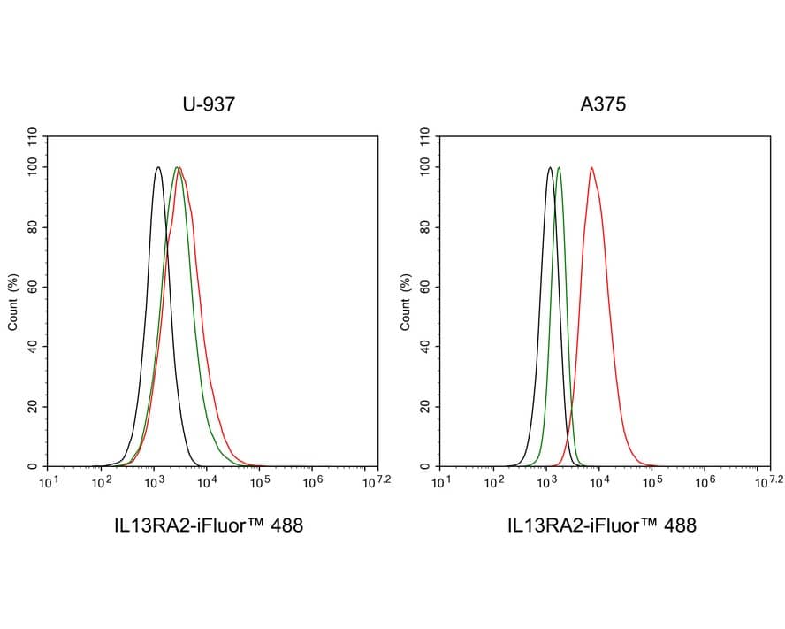 Flow Cytometry: IL-13R alpha 2 Antibody (PSH03-85) [NBP3-32466] - Flow cytometric analysis of A375 (positive) and U-937 (negative) cells labeling IL-13R alpha 2. Cells were washed twice with cold PBS and resuspend. Then stained with the primary antibody (NBP3-32466, 1μg/mL) (red) compared with Rabbit IgG Isotype Control (green). After incubation of the primary antibody at +4℃ for an hour, the cells were stained with a iFluor™ 488 conjugate-Goat anti-Rabbit IgG Secondary antibody at 1/1,000 dilution for 30 minutes at +4℃. Unlabelled sample was used as a control (cells without incubation with primary antibody; black).