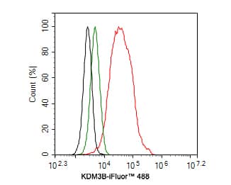Flow Cytometry: JMJD1B Antibody (1A8) [NBP3-32491] - Flow cytometric analysis of Hela cells labeling JMJD1B. Cells were fixed and permeabilized. Then stained with the primary antibody (NBP3-32491, 1ug/ml) (red) compared with Rabbit IgG Isotype Control (green). After incubation of the primary antibody at +4℃ for an hour, the cells were stained with a iFluor™ 488 conjugate-Goat anti-Rabbit IgG Secondary antibody at 1/1,000 dilution for 30 minutes at +4℃. Unlabelled sample was used as a control (cells without incubation with primary antibody; black).
