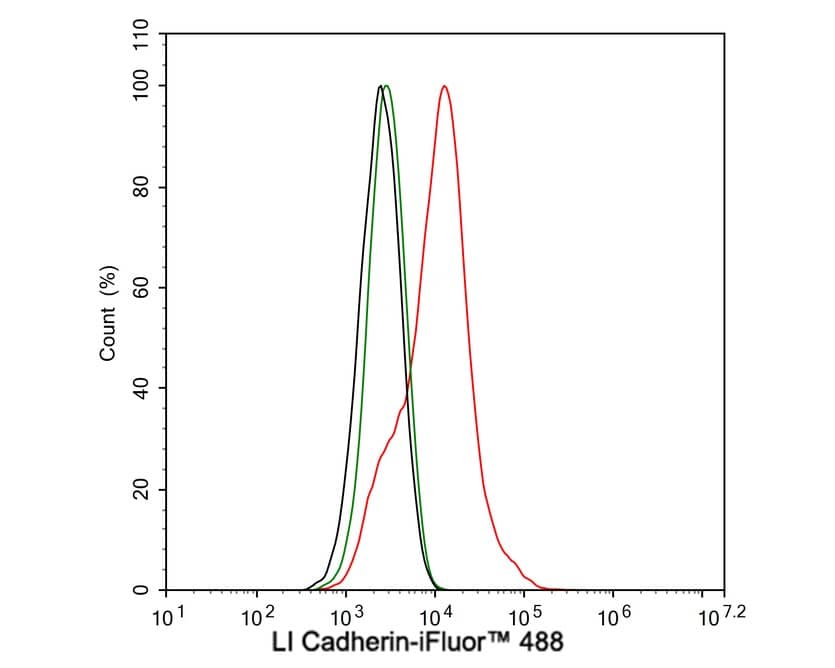 Flow Cytometry: Cadherin-17 Antibody (JE60-34) [NBP3-32535] - Flow cytometric analysis of Caco-2 cells labeling Cadherin-17. Cells were washed twice with cold PBS and resuspend. Then stained with the primary antibody (NBP3-32535, 1μg/mL) (red) compared with Rabbit IgG Isotype Control (green). After incubation of the primary antibody at +4℃ for an hour, the cells were stained with a iFluor™ 488 conjugate-Goat anti-Rabbit IgG Secondary antibody at 1/1,000 dilution for 30 minutes at +4℃. Unlabelled sample was used as a control (cells without incubation with primary antibody; black).