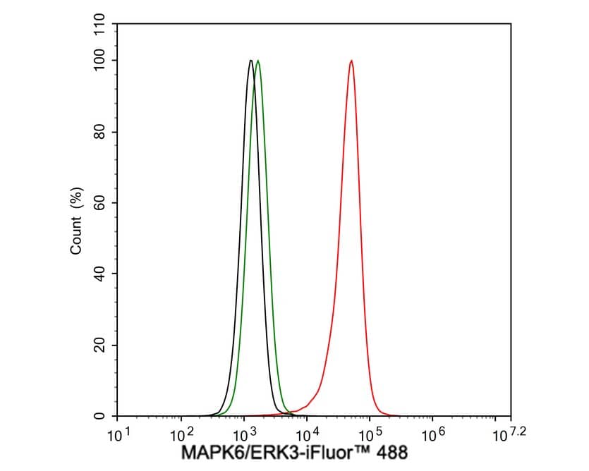 Flow Cytometry: ERK3/MAPK6 Antibody (PSH03-39) [NBP3-32567] - Flow cytometric analysis of 293T cells labeling ERK3/MAPK6. Cells were fixed and permeabilized. Then stained with the primary antibody (NBP3-32567, 1μg/mL) (red) compared with Rabbit IgG Isotype Control (green). After incubation of the primary antibody at +4℃ for an hour, the cells were stained with a iFluor™ 488 conjugate-Goat anti-Rabbit IgG Secondary antibody at 1/1,000 dilution for 30 minutes at +4℃. Unlabelled sample was used as a control (cells without incubation with primary antibody; black).