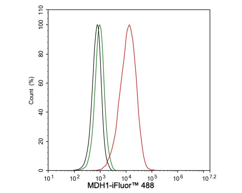 Flow Cytometry: MDH1 Antibody (JE35-03) [NBP3-32582] - Flow cytometric analysis of U-937 cells labeling MDH1. Cells were fixed and permeabilized. Then stained with the primary antibody (NBP3-32582, 1μg/mL) (red) compared with Rabbit IgG Isotype Control (green). After incubation of the primary antibody at +4℃ for an hour, the cells were stained with a iFluor™ 488 conjugate-Goat anti-Rabbit IgG Secondary antibody at 1/1,000 dilution for 30 minutes at +4℃. Unlabelled sample was used as a control (cells without incubation with primary antibody; black).