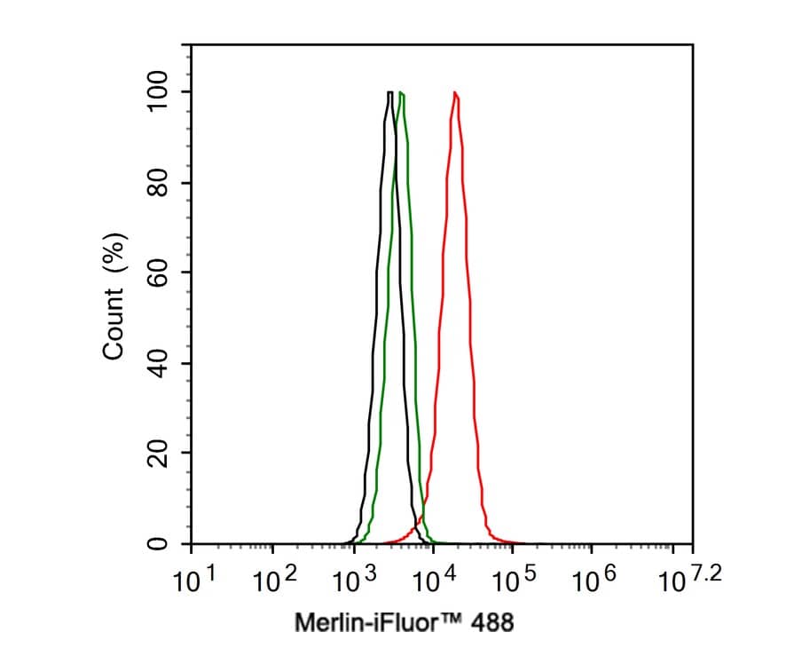 Flow Cytometry: NF2/Merlin Antibody (PSH02-52) [NBP3-32590] - Flow cytometric analysis of NIH/3T3 cells labeling NF2/Merlin. Cells were fixed and permeabilized. Then stained with the primary antibody (NBP3-32590, 1μg/mL) (red) compared with Rabbit IgG Isotype Control (green). After incubation of the primary antibody at +4℃ for an hour, the cells were stained with a iFluor™ 488 conjugate-Goat anti-Rabbit IgG Secondary antibody at 1/1,000 dilution for 30 minutes at +4℃. Unlabelled sample was used as a control (cells without incubation with primary antibody; black).