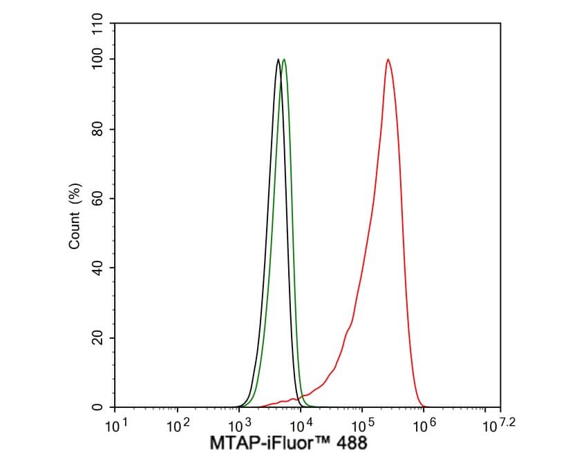 Flow Cytometry: MTAP Antibody (JE63-74) [NBP3-32610] - Flow cytometric analysis of NIH/3T3 cells labeling MTAP. Cells were fixed and permeabilized. Then stained with the primary antibody (NBP3-32610, 1μg/mL) (red) compared with Rabbit IgG Isotype Control (green). After incubation of the primary antibody at +4℃ for an hour, the cells were stained with a iFluor™ 488 conjugate-Goat anti-Rabbit IgG Secondary antibody at 1/1,000 dilution for 30 minutes at +4℃. Unlabelled sample was used as a control (cells without incubation with primary antibody; black).