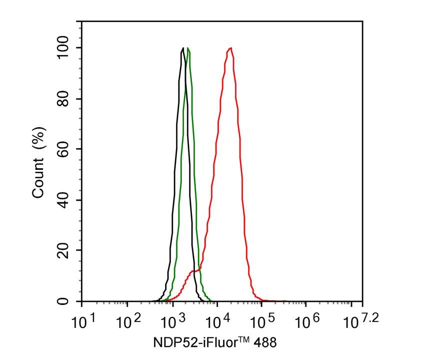 Flow Cytometry: NDP52 Antibody (PSH02-33) [NBP3-32636] - Flow cytometric analysis of HeLa cells labeling NDP52. Cells were fixed and permeabilized. Then stained with the primary antibody (NBP3-32636, 1/1,000) (red) compared with Rabbit IgG Isotype Control (green). After incubation of the primary antibody at +4℃ for an hour, the cells were stained with a iFluor™ 488 conjugate-Goat anti-Rabbit IgG Secondary antibody at 1/1,000 dilution for 30 minutes at +4℃. Unlabelled sample was used as a control (cells without incubation with primary antibody; black).