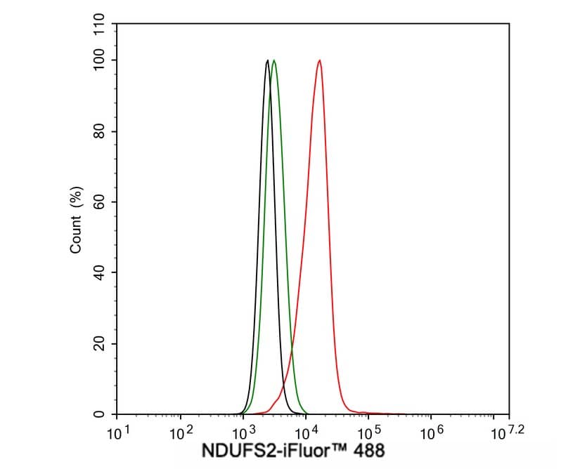 Flow Cytometry: NDUFS2 Antibody (PSH03-26) [NBP3-32639] - Flow cytometric analysis of A431 cells labeling NDUFS2. Cells were fixed and permeabilized. Then stained with the primary antibody (NBP3-32639, 1μg/mL) (red) compared with Rabbit IgG Isotype Control (green). After incubation of the primary antibody at +4℃ for an hour, the cells were stained with a iFluor™ 488 conjugate-Goat anti-Rabbit IgG Secondary antibody at 1/1,000 dilution for 30 minutes at +4℃. Unlabelled sample was used as a control (cells without incubation with primary antibody; black).