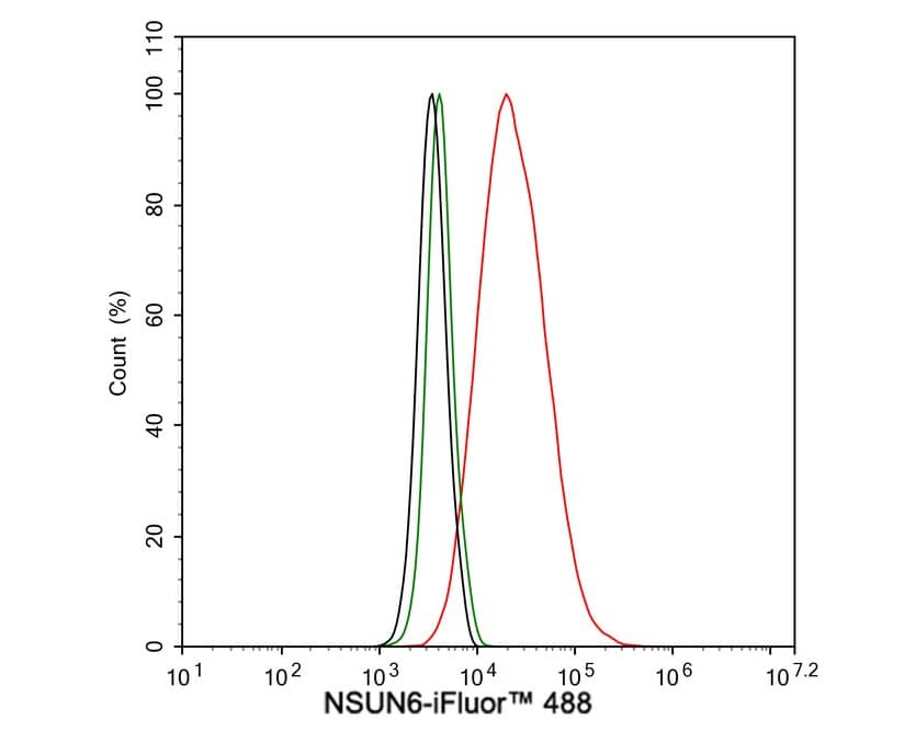 Flow Cytometry: NSUN6 Antibody (PSH02-80) [NBP3-32667] - Flow cytometric analysis of HeLa cells labeling NSUN6. Cells were fixed and permeabilized. Then stained with the primary antibody (NBP3-32667, 1μg/mL) (red) compared with Rabbit IgG Isotype Control (green). After incubation of the primary antibody at +4℃ for an hour, the cells were stained with a iFluor™ 488 conjugate-Goat anti-Rabbit IgG Secondary antibody at 1/1,000 dilution for 30 minutes at +4℃. Unlabelled sample was used as a control (cells without incubation with primary antibody; black).